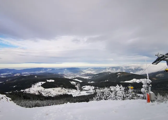 Czarna Gora Tignes 4 *
